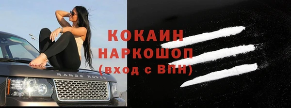 индика Киров