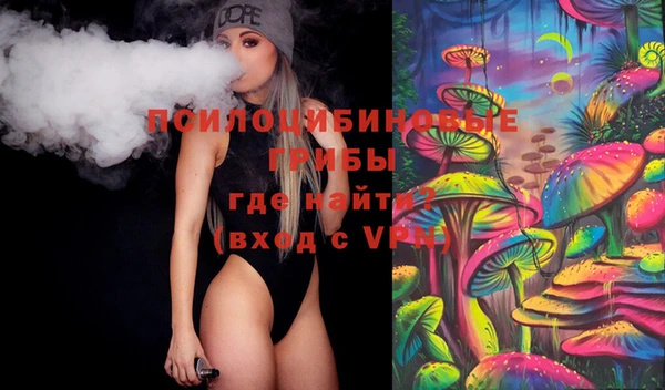 молекула духа Пенза