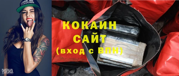 индика Киров